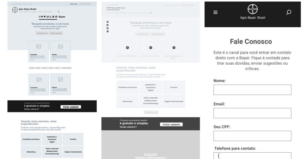 Agro Bayer. Wireframes mobile